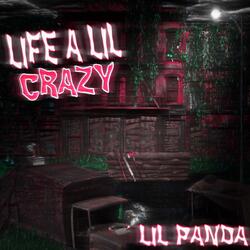 LIFE A LIL CRAZY