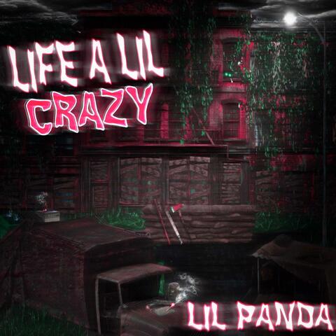 LIFE A LIL CRAZY
