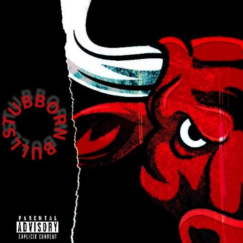 Stubborn Bull