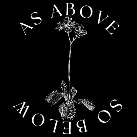 AS ABOVE, SO BELOW