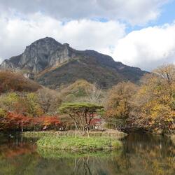 Today As Well 오늘도