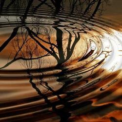 Awakening (Liquid Mind)