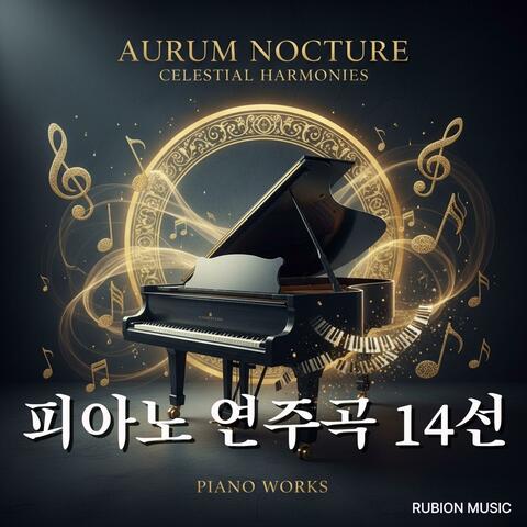 피아노 연주곡 14선