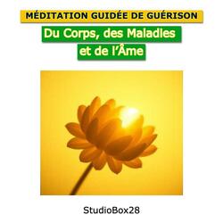 Guérison du Corps, des Maladies et de l’Âme - John I