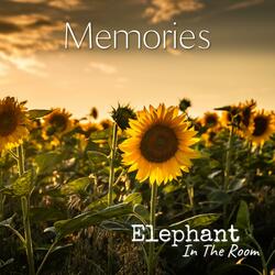 Memories (feat. Marieke)