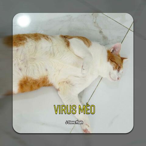 Virus Mèo