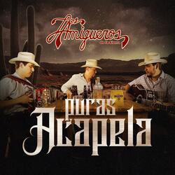 Y Que Le Digo A Mi Corazon (Acapela)