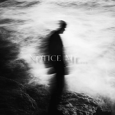Notice Me