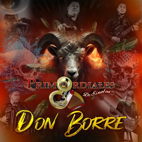 DON BORREGO