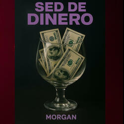 SED DE DINERO