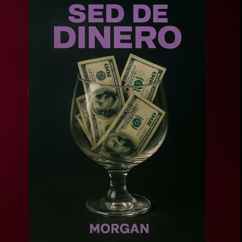 SED DE DINERO