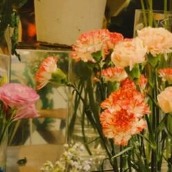 little things (one take)