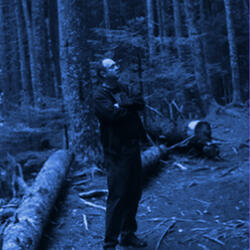 The Phatom of the Ravine