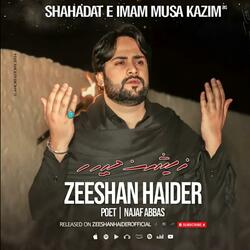 Mayyat Dafnaa Dewoo Noha Sahadat Imam Musa Kazim as (feat. Zeeshan Haider)