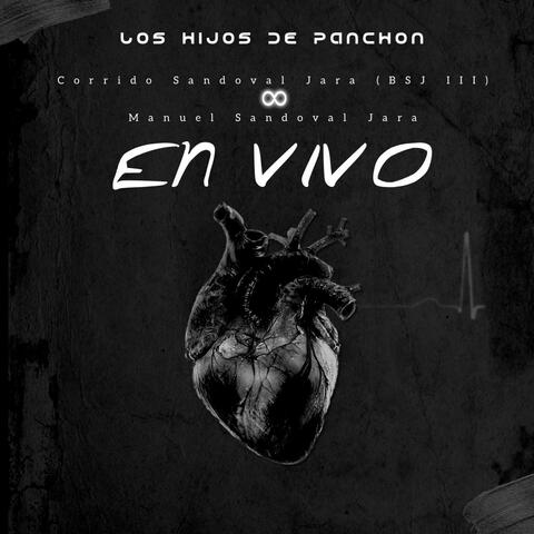 Los Hijos De Panchon (En vivo desde Culiacan)