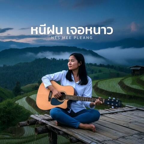 หนีฝนเจอหนาว