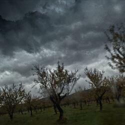 I found hills in Hell