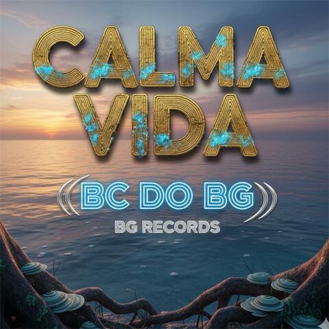 CALMA VIDA