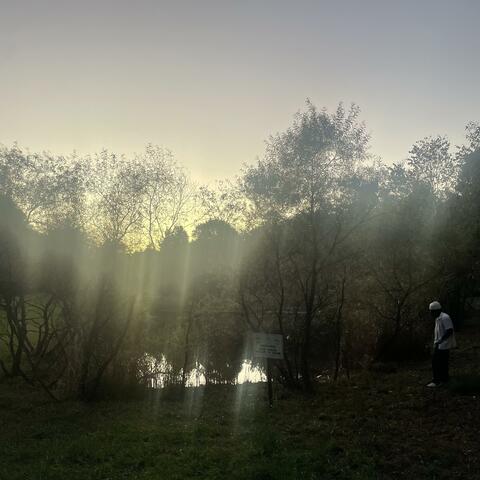 meadow music