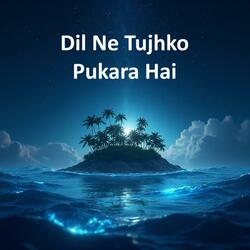 Dil Ne Tujhko Pukara Hai