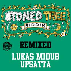 Lukas Midub vs Green Cross (Sound Culture Remixed)