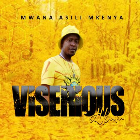 VISERIOUS