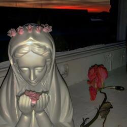 TAMO A FUEGO (feat. Fuegozs)