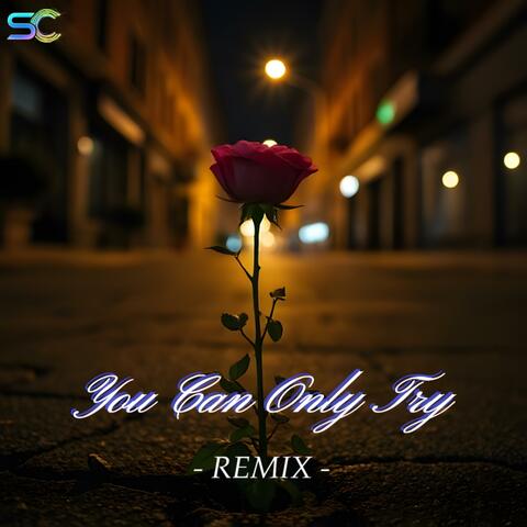 You Can Only Try (Remix)
