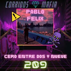 Cero Entre Dos Y Nueve (209)