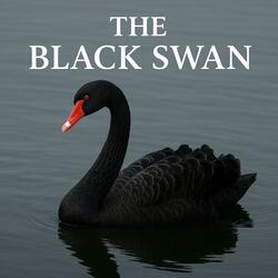 The Black Swan RAP Style