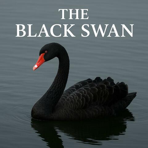 The Black Swan RAP Style
