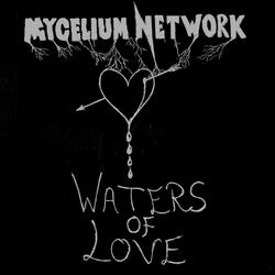 Waters Of Love