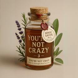 You're Not Crazy (feat. ESPĒ)