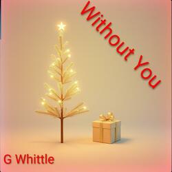 Without You