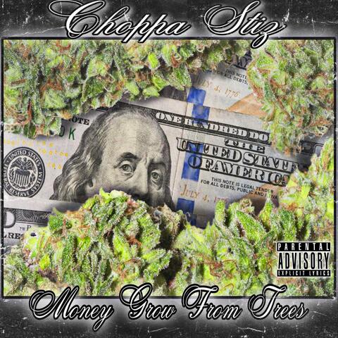 Money Grow From Trees