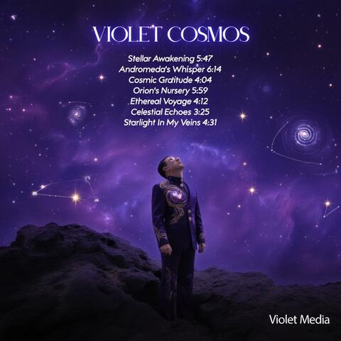Violet Cosmos