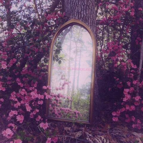 WELCOME TO WONDERLAND
