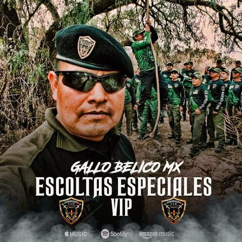 ESCOLTAS ESPECIALES VIP