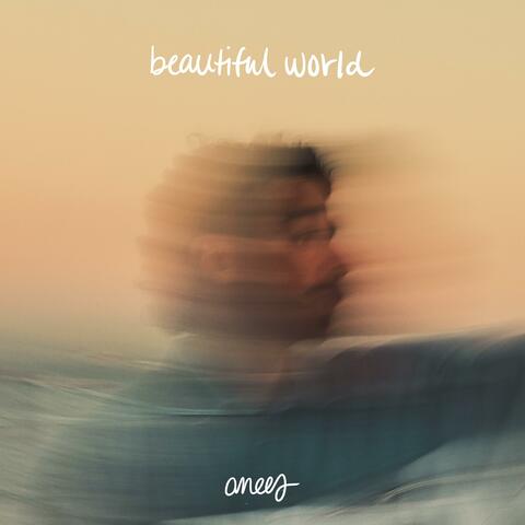 beautiful world