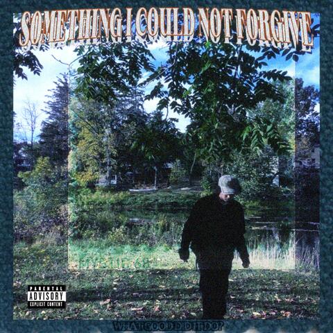 SOMETHING I COULD NOT FORGIVE