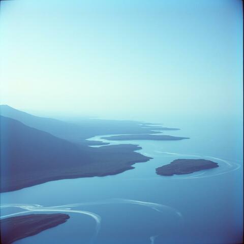 Shadow in the Loneliness