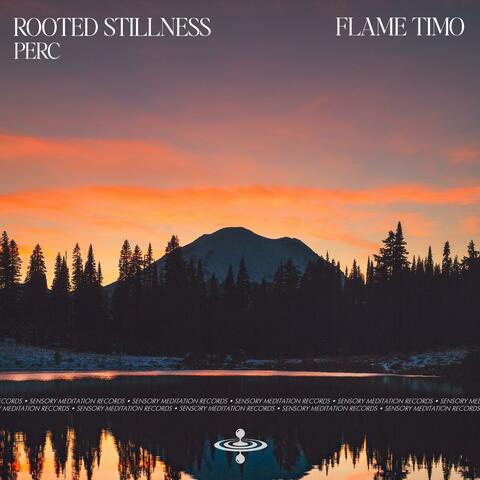 Rooted Stillness (Perc)