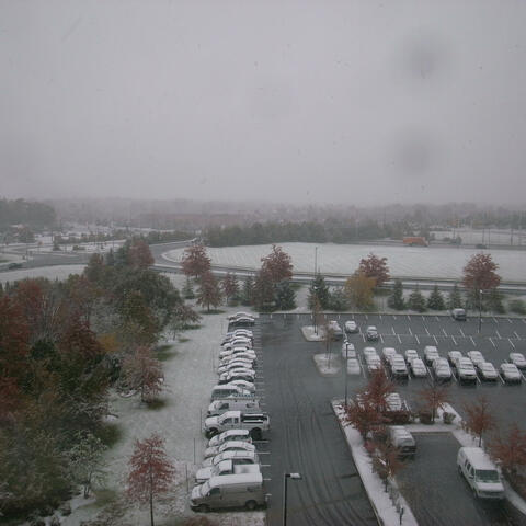 Trusting You to Catch Me If I Fall