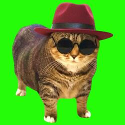 OIIA OIIA UNKNOWN Spinning CAT (XertXetin Remix)