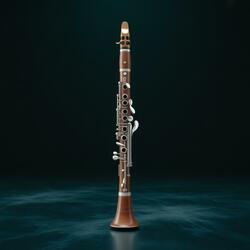 Klezmer Klarinette (II)