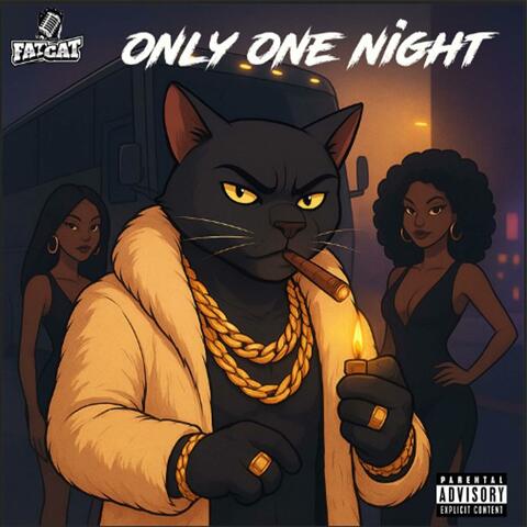 Only One Night