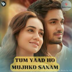 Tum Yaad Ho Mujhko Sanam