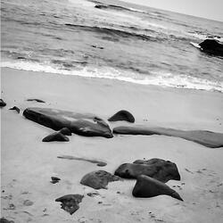 Shape of Noise, Pt. 21