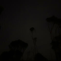 i know you've tried to kill me before