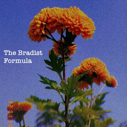 The Bradist Formula (Boom Bap Beat)